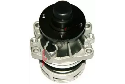 DENCKERMANN Vodn erpadlo DCR A310042P, A310042P