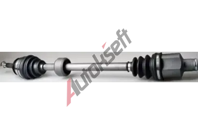 DENCKERMANN Hnac hdel DCR C120998, C120998