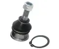 ep ramene DENCKERMANN ‐ DCR D110023