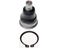 ep ramene DENCKERMANN ‐ DCR D110220