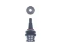 ep ramene DENCKERMANN ‐ DCR D110304