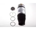 Vzduchov pruina podvozku DENCKERMANN ‐ DCR DSA113G