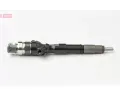 DENSO Vstřikovací tryska DEN DCRI300460, DCRI300460