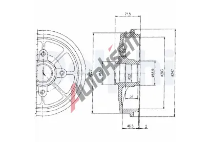 DELPHI Brzdov buben - 203 mm DF BF392, BF392