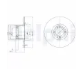 DELPHI Brzdov kotou - 214 mm ‐ DF BG2081