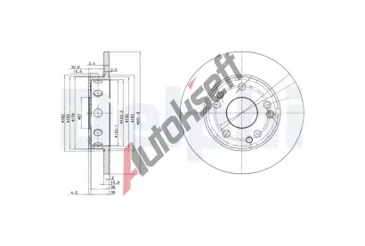 DELPHI Brzdov kotou - 262 mm DF BG2288, BG2288