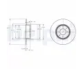 DELPHI Brzdov kotou - 251 mm ‐ DF BG2322