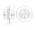 DELPHI Brzdov kotou - 238 mm ‐ DF BG2355
