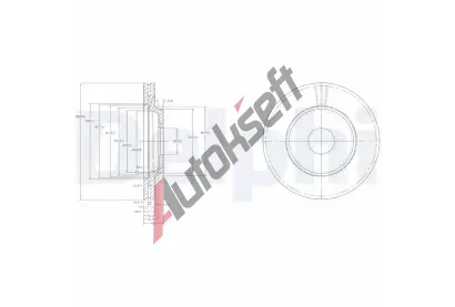 DELPHI Brzdov kotou - 280 mm DF BG2419, BG2419