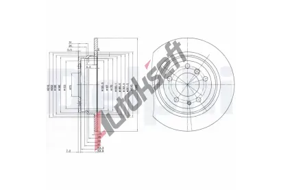 DELPHI Brzdov kotou - 300 mm DF BG2431, BG2431