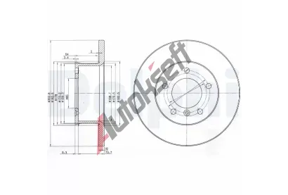 DELPHI Brzdov� kotou� - 303 mm DF BG2556, BG2556