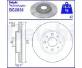 DELPHI Brzdov kotou - 257 mm ‐ DF BG2830
