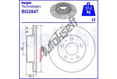 DELPHI Brzdov kotou - 300 mm DF BG2847, BG2847