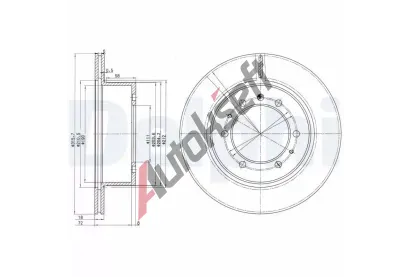 DELPHI Brzdov kotou - 317 mm DF BG3117, BG3117