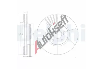 DELPHI Brzdov kotou - 275 mm DF BG3189, BG3189