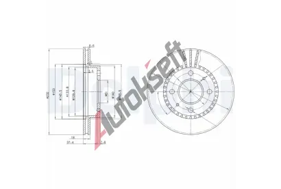 DELPHI Brzdov kotou - 232 mm DF BG3206, BG3206