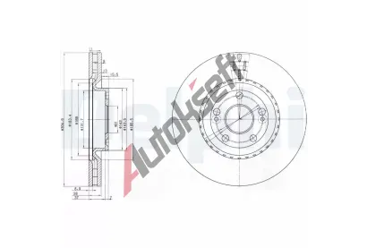DELPHI Brzdov kotou - 305 mm DF BG3685, BG3685