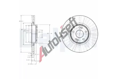 DELPHI Brzdov kotou - 300 mm DF BG3688, BG3688