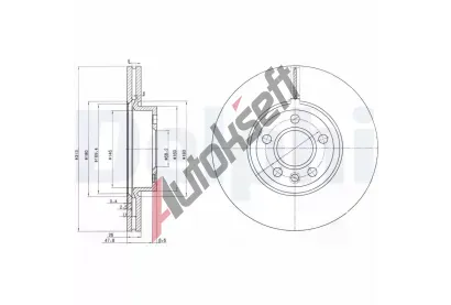 DELPHI Brzdov kotou - 313 mm DF BG3719, BG3719