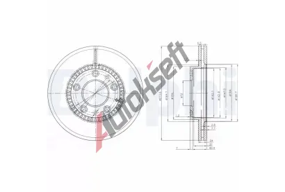 DELPHI Brzdov kotou - 273 mm DF BG3724, BG3724