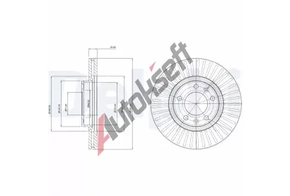 DELPHI Brzdov kotou - 283 mm DF BG3835C, BG3835C