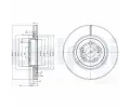 DELPHI Brzdov kotou - 295 mm ‐ DF BG3914