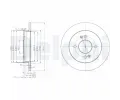 DELPHI Brzdov kotou - 234 mm ‐ DF BG3981C