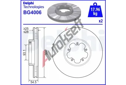 DELPHI Brzdov kotou - 300 mm DF BG4006, BG4006