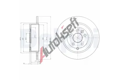 DELPHI Brzdov kotou - 302 mm DF BG4124C, BG4124C