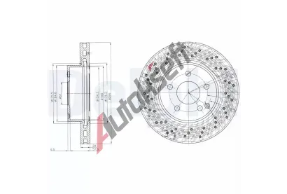 DELPHI Brzdov kotou - 295 mm DF BG4142C, BG4142C