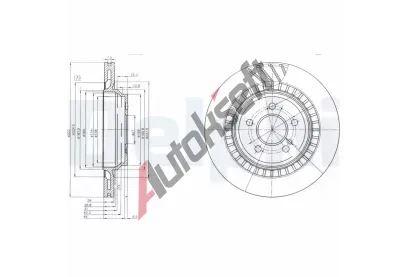 DELPHI Brzdov kotou - 320 mm DF BG4144, BG4144