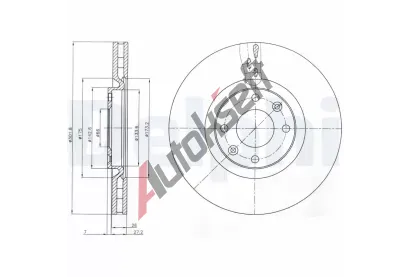 DELPHI Brzdov kotou - 302 mm DF BG4166, BG4166