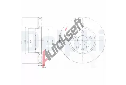 DELPHI Brzdov kotou - 321 mm DF BG4189C, BG4189C