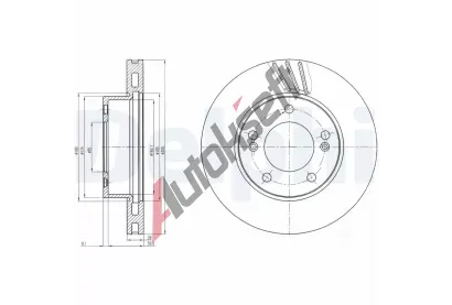 DELPHI Brzdov kotou - 300 mm DF BG4207, BG4207