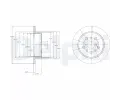 DELPHI Brzdov kotou - 310 mm ‐ DF BG4216
