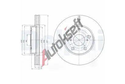 DELPHI Brzdov kotou - 273 mm DF BG4234C, BG4234C