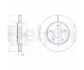 DELPHI Brzdov kotou - 302 mm ‐ DF BG4248