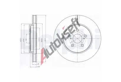 DELPHI Brzdov kotou - 319 mm DF BG4253, BG4253