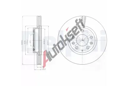 DELPHI Brzdov kotou - 299 mm DF BG4255C, BG4255C