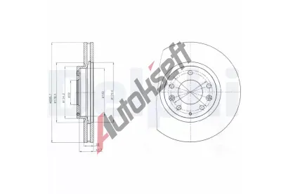 DELPHI Brzdov kotou - 296 mm DF BG4256, BG4256