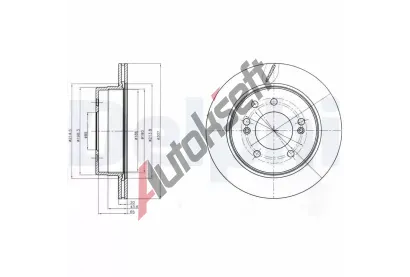 DELPHI Brzdov kotou - 307 mm DF BG4273, BG4273