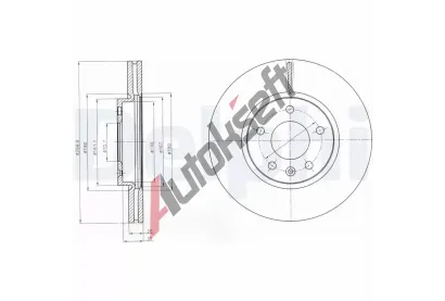 DELPHI Brzdov kotou - 300 mm DF BG4278C, BG4278C