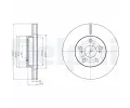 DELPHI Brzdov kotou - 255 mm ‐ DF BG4290