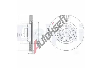 DELPHI Brzdov kotou - 303 mm DF BG4316, BG4316