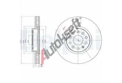 DELPHI Brzdov kotou - 314 mm DF BG4330C, BG4330C