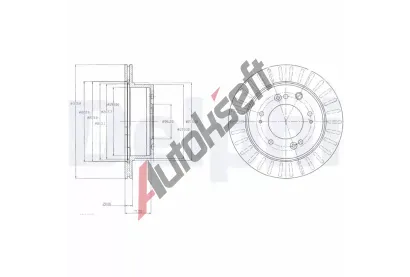 DELPHI Brzdov kotou - 315 mm DF BG4331, BG4331