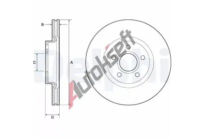 DELPHI Brzdov kotou - 300 mm DF BG4676C, BG4676C