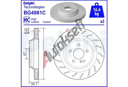 DELPHI Brzdov kotou - 320 mm DF BG4981C, BG4981C