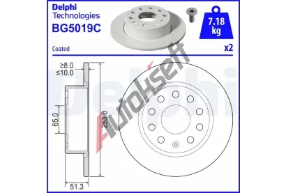 DELPHI Brzdov kotou - 253 mm DF BG5019C, BG5019C