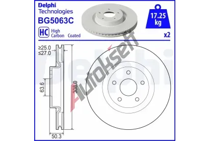 DELPHI Brzdov kotou - 308 mm DF BG5063C, BG5063C
